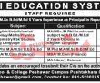 Jobs in Afridi Education System