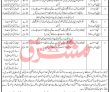 Jobs in Agriculture Department KPK