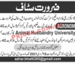 Jobs in Agriculture Farm