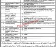 Jobs in Agriculture University Faisalabad