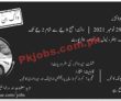 Jobs In Air Blue