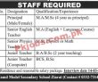 Jobs in Al-Hamd Model Secondary School Ziarat