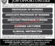 Jobs In Alhamd Islamic University