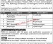 Jobs in Ali Fatima Hospital AFH