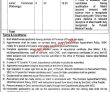 Jobs In Allama Iqbal Medical College Lahore