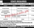Jobs In Allied School Quetta