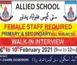 Jobs in Allied School