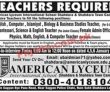 Jobs In American Lyceum International School