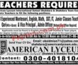 Jobs In American Lyceum International School