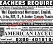 Jobs In American Lyceum International School