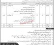 Jobs In Ammunition Depot Kohat
