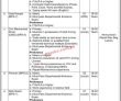 Jobs In Ammunition Depot Lahore