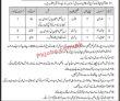 Jobs In Ammunition Depot Malir Cantt Karachi