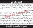 Jobs In Anjman E Islamia Balochistan