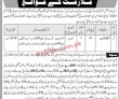 Jobs In Army Air Defence Center Malir Cantt Karachi
