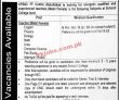 Jobs In Army Public School & College