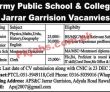 Jobs In Army Public School & College