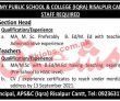 Jobs In Army Public School & College