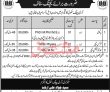Jobs In Army Public School