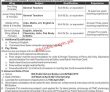 Jobs in Army Public Schools & Colleges Pano Aqil