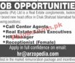Jobs in Arzopedia Pvt Ltd