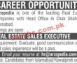 Jobs In Arzopedia