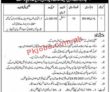 Jobs in Assistant Commissioner Jahanian