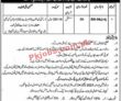 Jobs in Assistant Commissioner Kabirwala