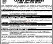 Jobs In Audit Oversight Board Aob