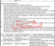 Jobs in Auditor General of Pakistan