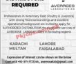 Jobs In Averroes Laboratories