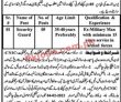 Jobs In Bise Sargodha