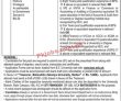 Jobs in Bahauddin Zakariya University Multan