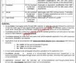 Jobs In Bahaudin Zakariya University Bzu Multan