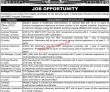 Jobs in Bahawalpur Medical & Dental College