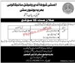 Jobs In Bahira University