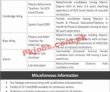 Jobs In Bahria College