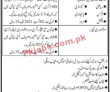 Jobs in Bahria College