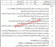 Jobs in Baloch Levies