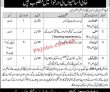Jobs in Baloch Regiment
