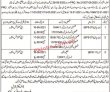 Jobs in Balochistan Levies Quetta