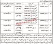 Jobs in Balochistan Levies