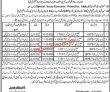 Jobs In Balochistan Levis Force