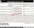 Jobs in Balochistan Police