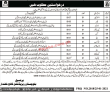 Jobs in Balochistan Residential College