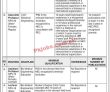 Jobs In Balochistan University Of Engineering And Technology Khuzdar