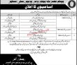 Jobs in Begum Nusrat Bhutto Women University Sukkur