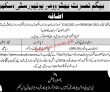 Jobs in Begum Nustrat Bhutto Women University
