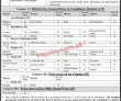 Jobs In Benazir Income Support Programme Bisp