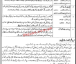 Jobs in Board of Intermediate & Secondary Education Bahawalpur